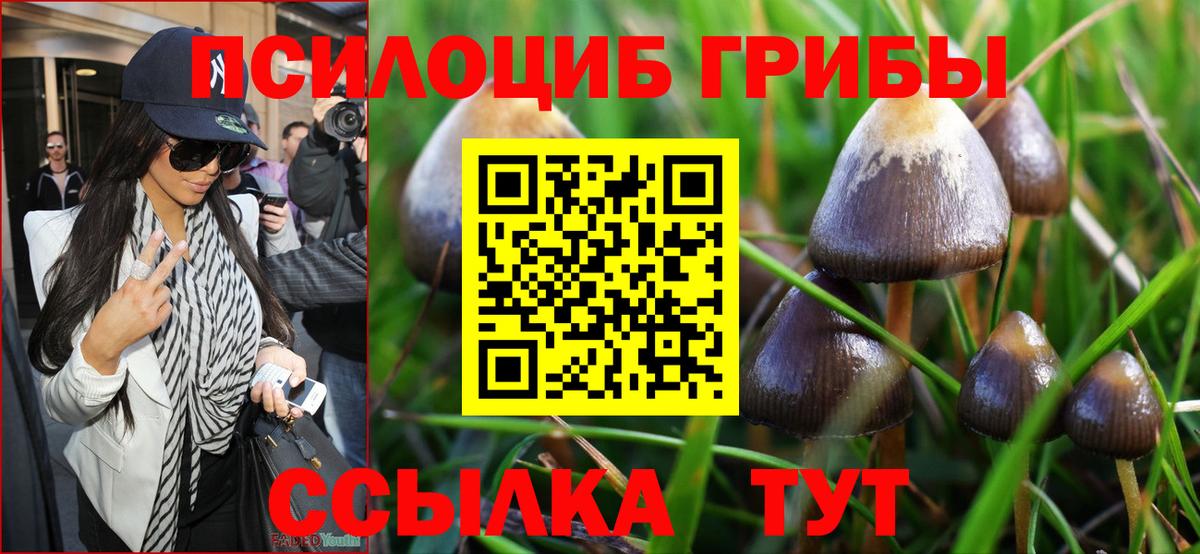 Галлюциногенные грибы Cubensis  Вход с VPN  Аксай 